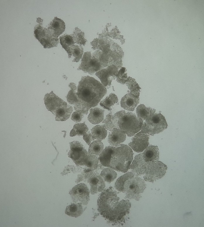 Picture19.jpg Picture19.jpg