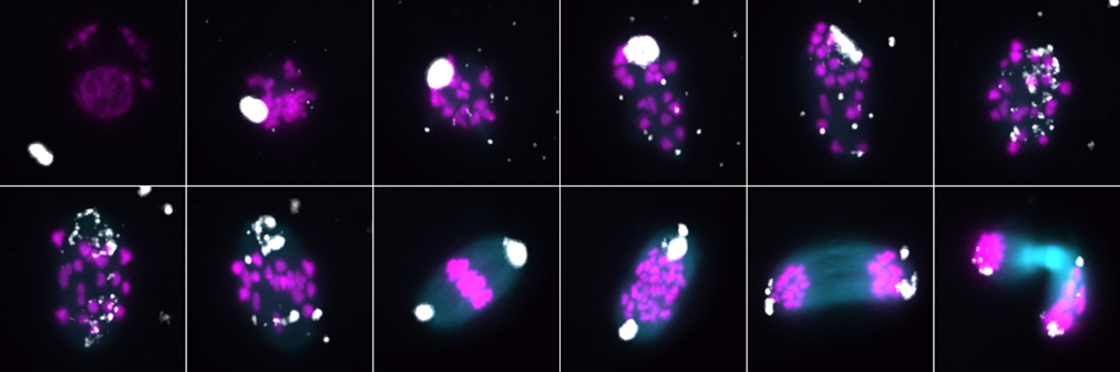 Picture22 Picture22.png