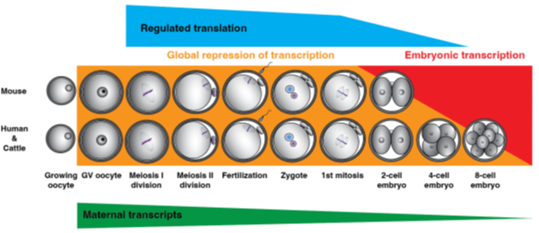 Picture7 Picture26.png