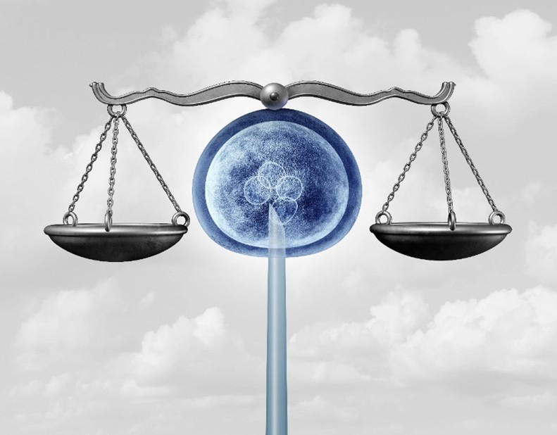 obr.2 2-cell embryo Picture34.jpg