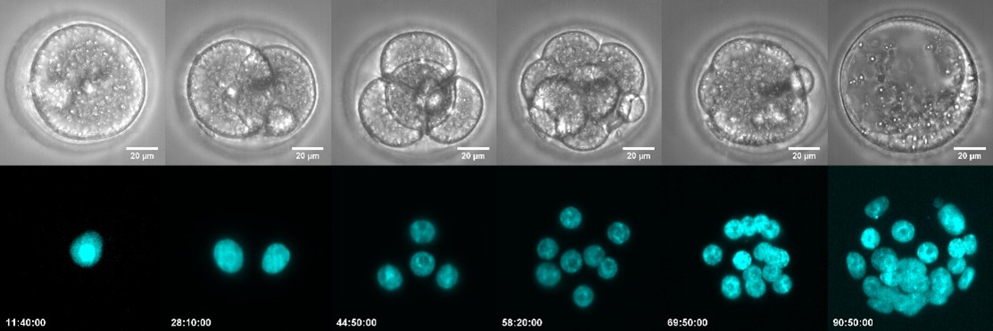 Picture22 default.jpg