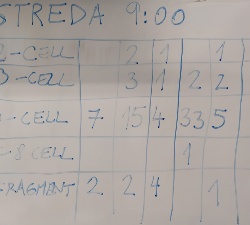 IMG_20250528_100828_upr