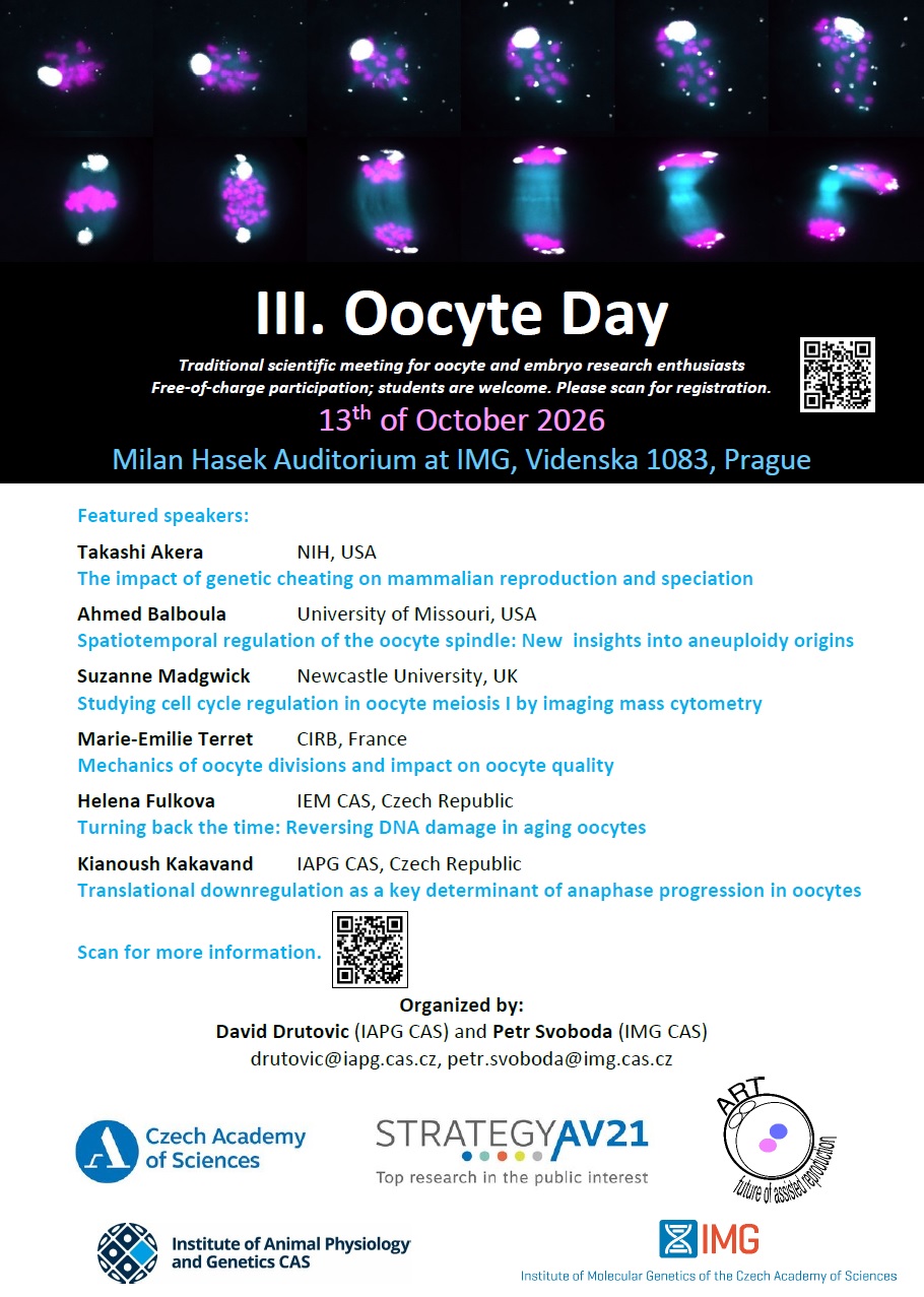 III. Oocyte Day Flyer III. Oocyte Day Flyer